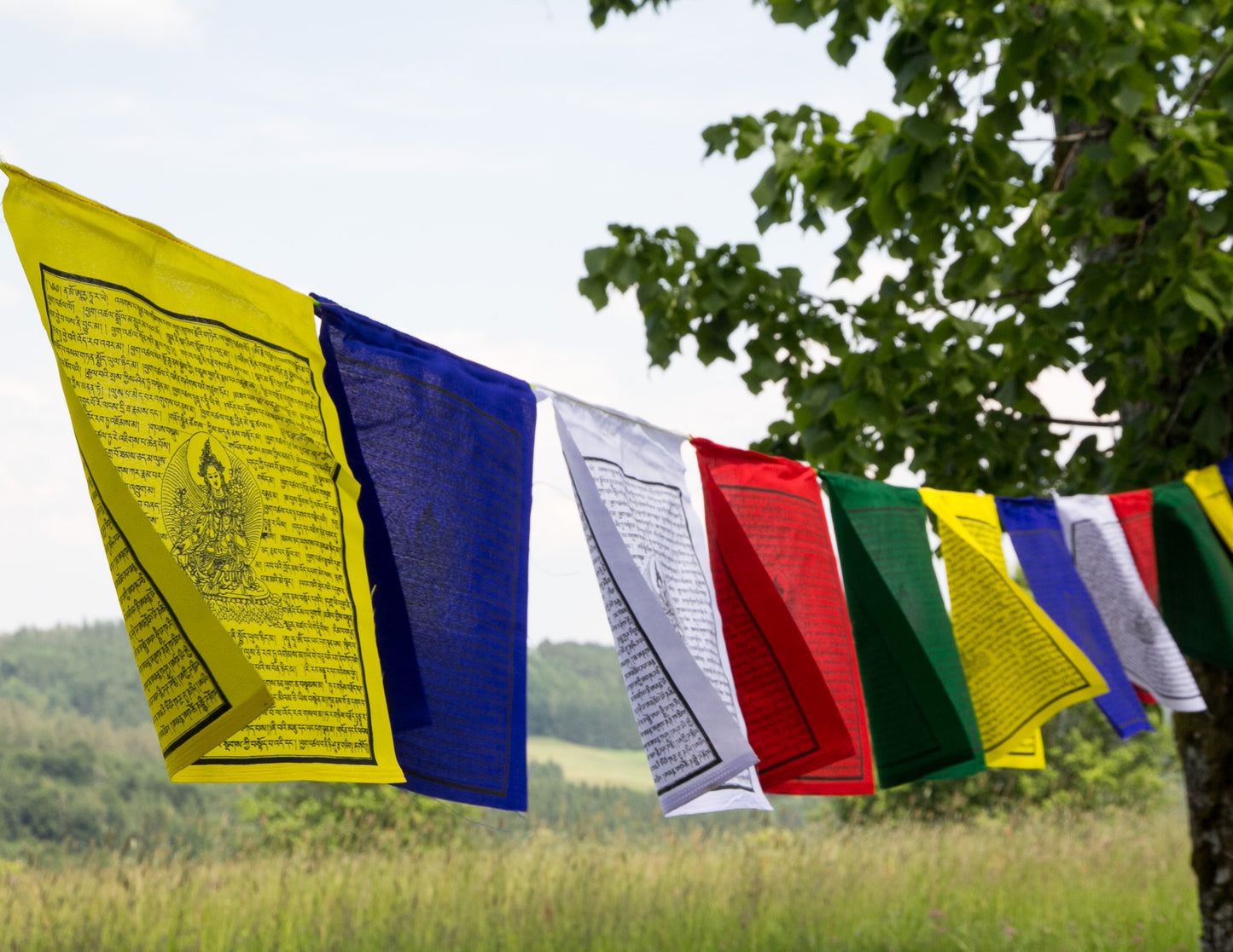 Large 21 Praises to Tara Prayer Flag, 32x34cm, 8.2m.